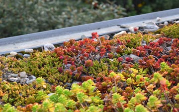 the cost of Broadholm green roof installation
