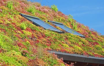 Broadholm living roof systems