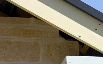 soffit repair Broadholm